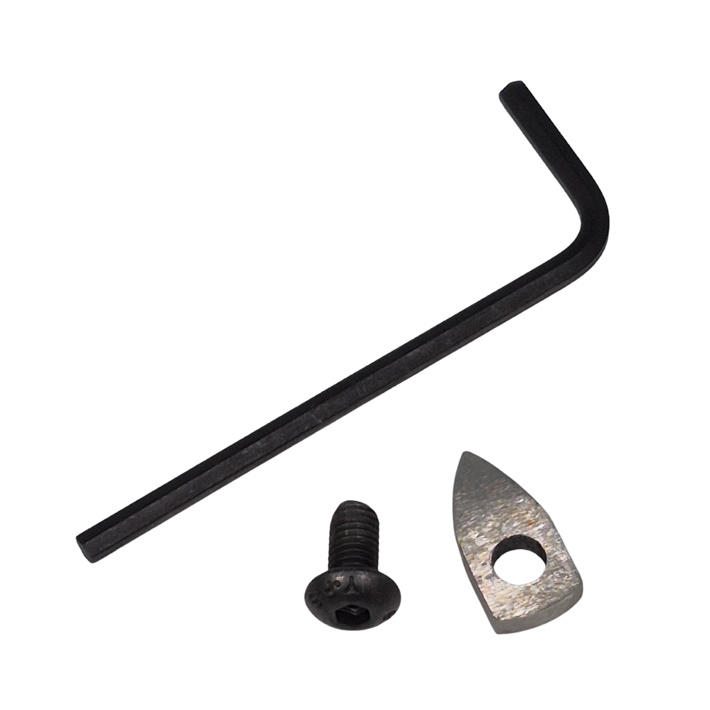 allen key, screw and small high speed steel hollowing tool tip on a white background