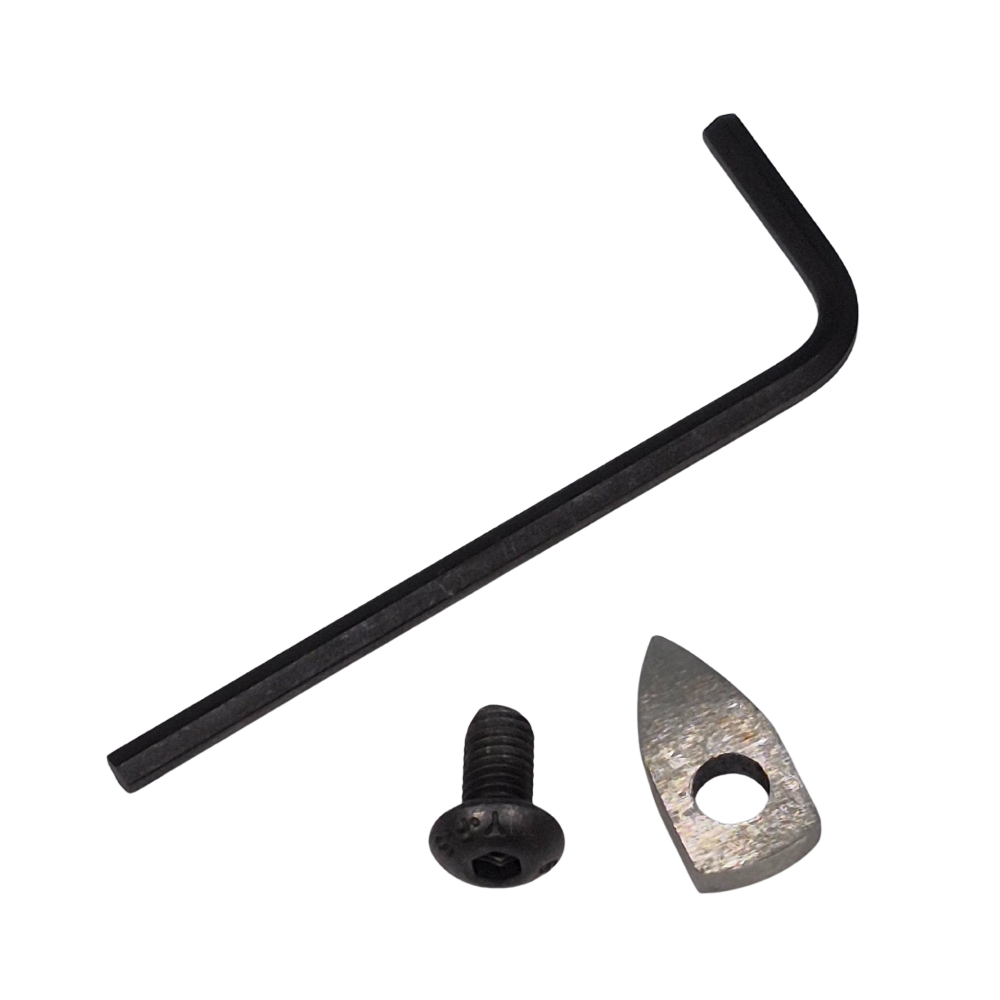 allen key, screw and small high speed steel hollowing tool tip on a white background