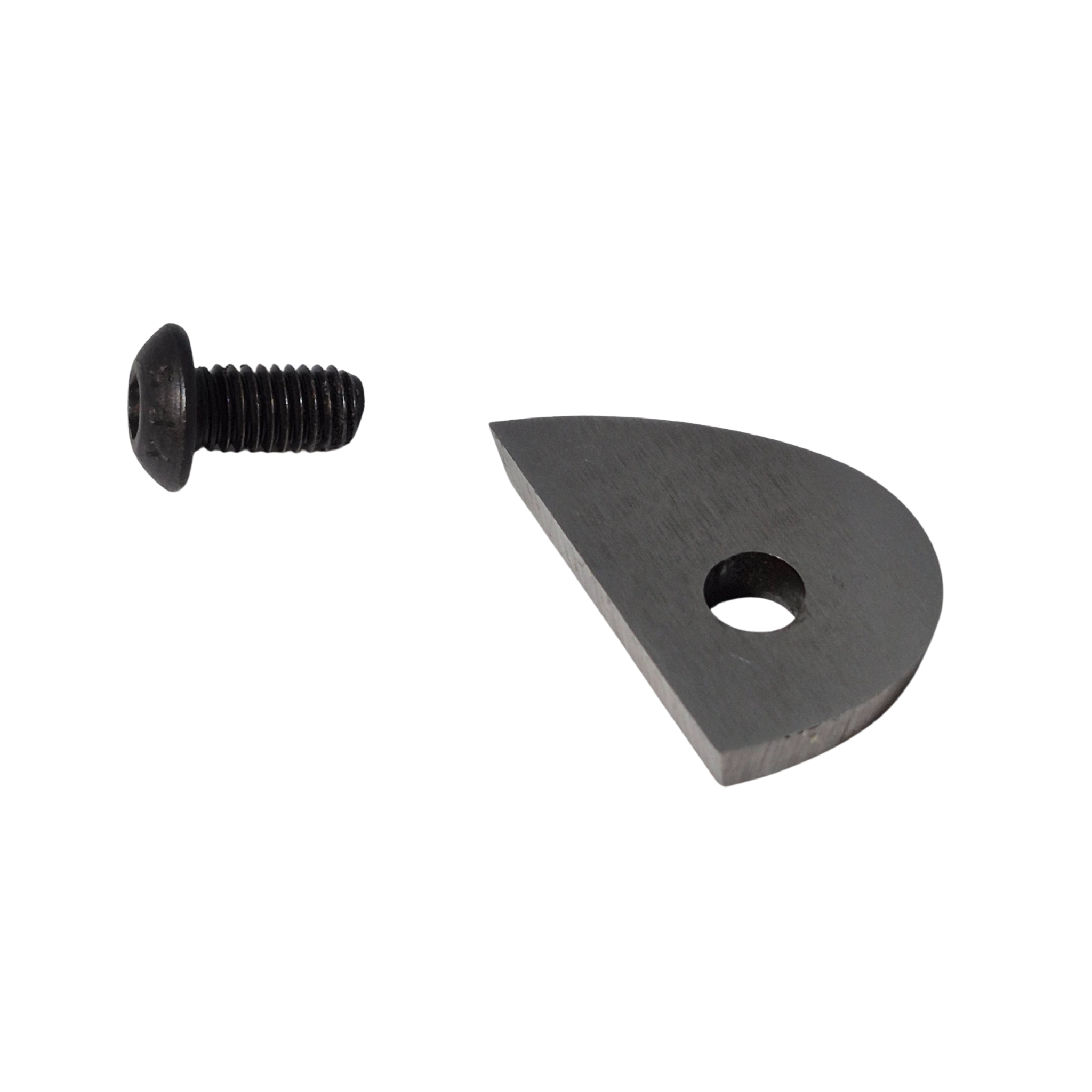 screw and high speed steel hollowing tool tip on a white background